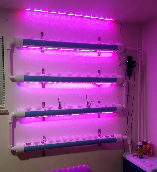 Hydroponics