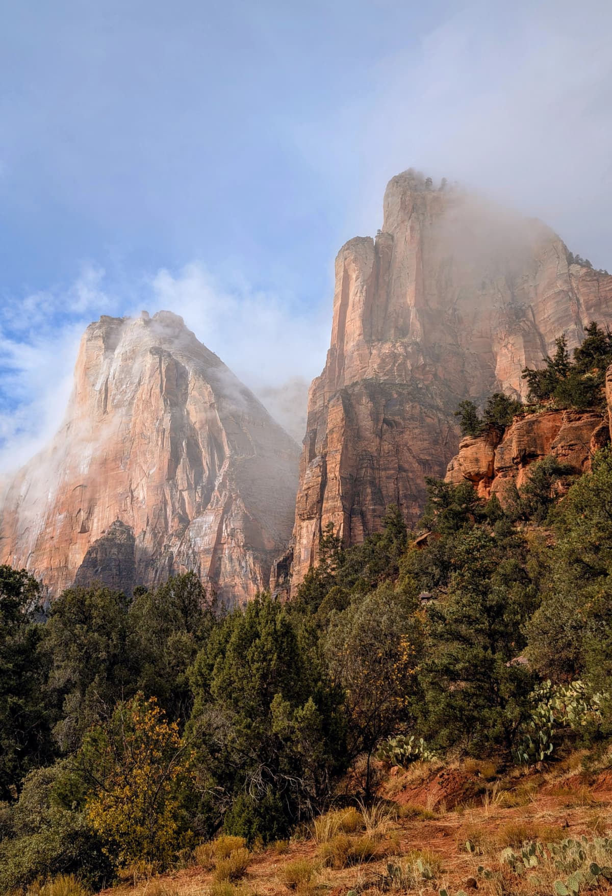 Experienced the majesty of Zion National Park