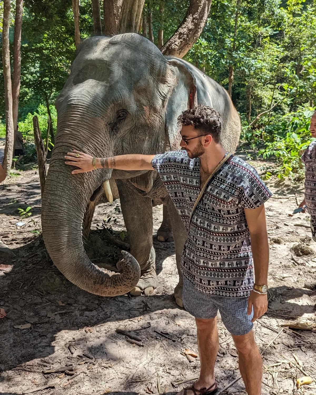 Met an elephant in Chiang Mai, Thailand